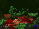 PLant rape